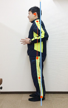 姿勢チェック